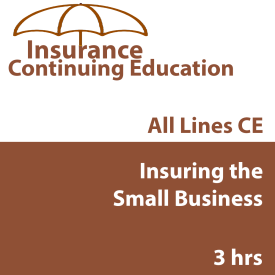 Insuring the Small Business (CE) (INSCE015FL3) Insuring the Small Business (CE) (INSCE015FL3)